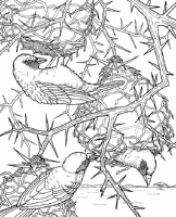 A coloring page of nature in africa